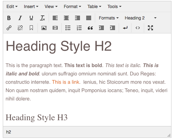 Using The WYSIWYG Editor Interface Guide